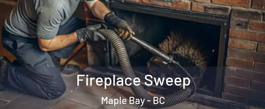  Fireplace Sweep Maple Bay - BC