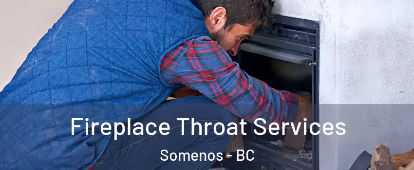  Fireplace Throat Services Somenos - BC