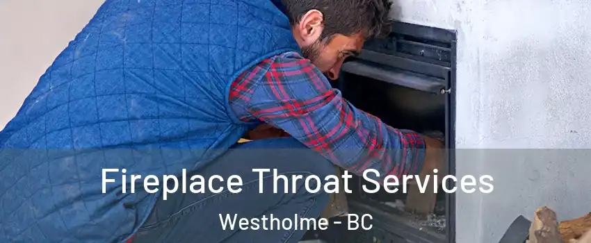  Fireplace Throat Services Westholme - BC