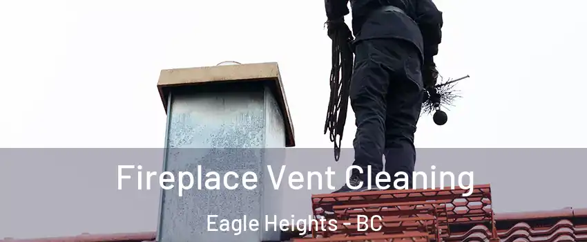  Fireplace Vent Cleaning Eagle Heights - BC