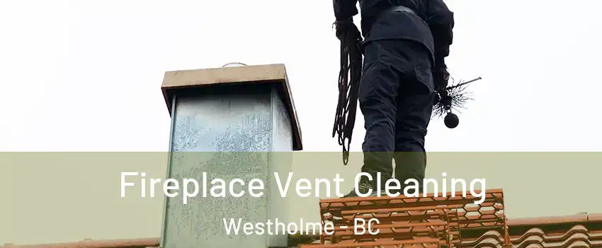  Fireplace Vent Cleaning Westholme - BC