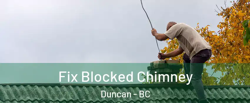  Fix Blocked Chimney Duncan - BC