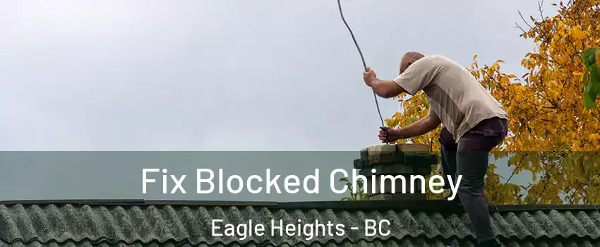  Fix Blocked Chimney Eagle Heights - BC