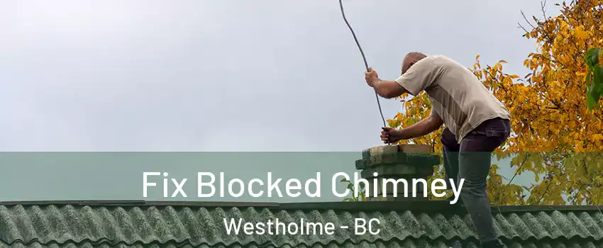  Fix Blocked Chimney Westholme - BC