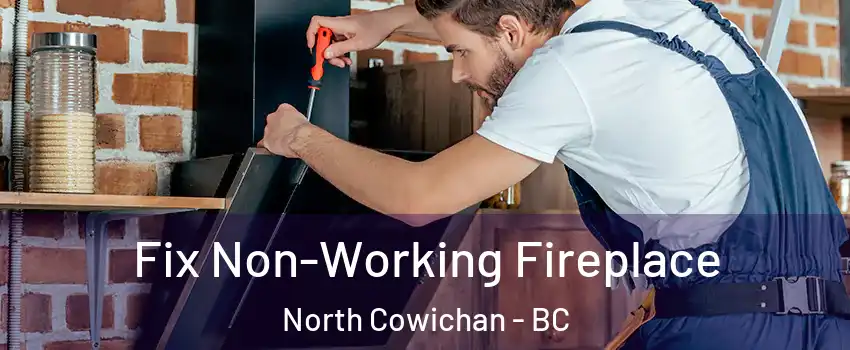  Fix Non-Working Fireplace North Cowichan - BC