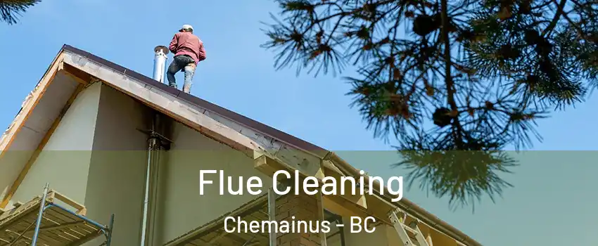  Flue Cleaning Chemainus - BC