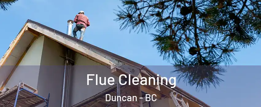  Flue Cleaning Duncan - BC