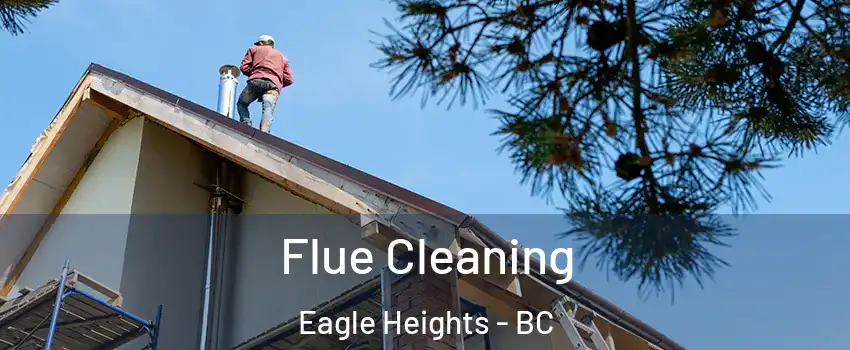  Flue Cleaning Eagle Heights - BC