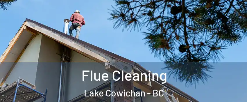  Flue Cleaning Lake Cowichan - BC