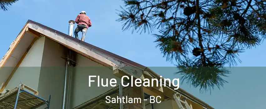  Flue Cleaning Sahtlam - BC