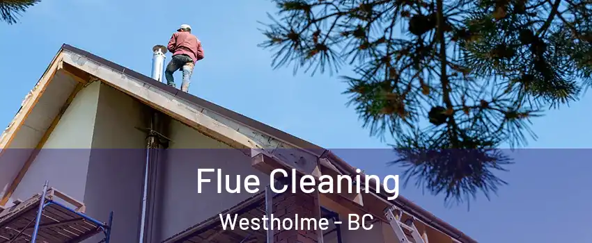  Flue Cleaning Westholme - BC