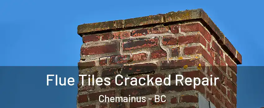  Flue Tiles Cracked Repair Chemainus - BC