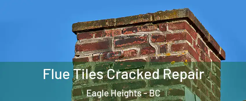  Flue Tiles Cracked Repair Eagle Heights - BC