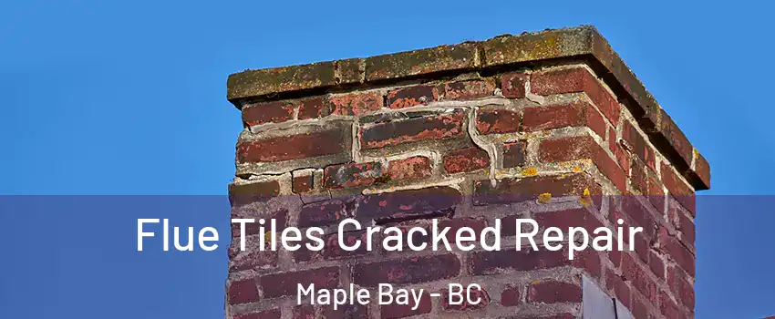  Flue Tiles Cracked Repair Maple Bay - BC