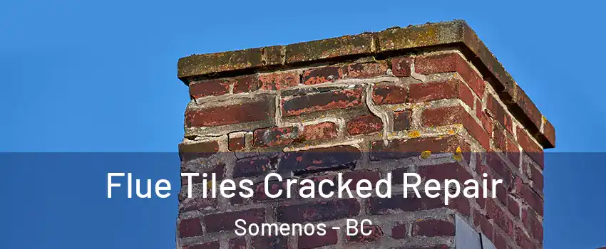  Flue Tiles Cracked Repair Somenos - BC