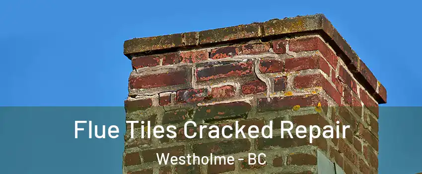  Flue Tiles Cracked Repair Westholme - BC