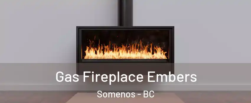  Gas Fireplace Embers Somenos - BC