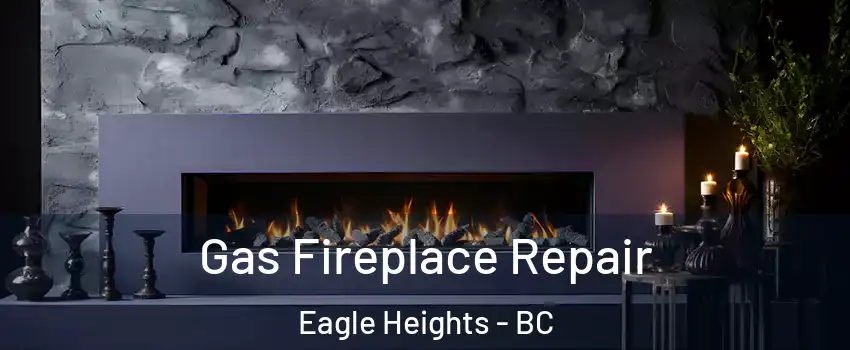  Gas Fireplace Repair Eagle Heights - BC