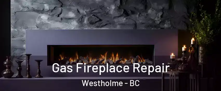  Gas Fireplace Repair Westholme - BC
