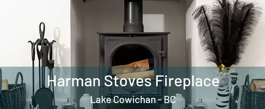  Harman Stoves Fireplace Lake Cowichan - BC