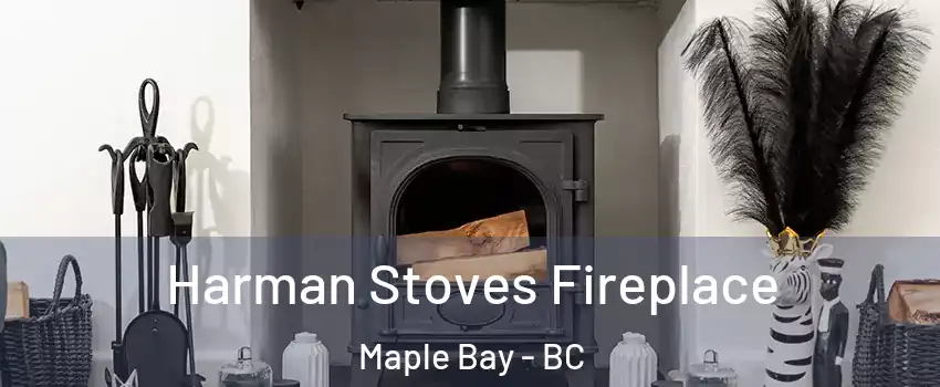  Harman Stoves Fireplace Maple Bay - BC