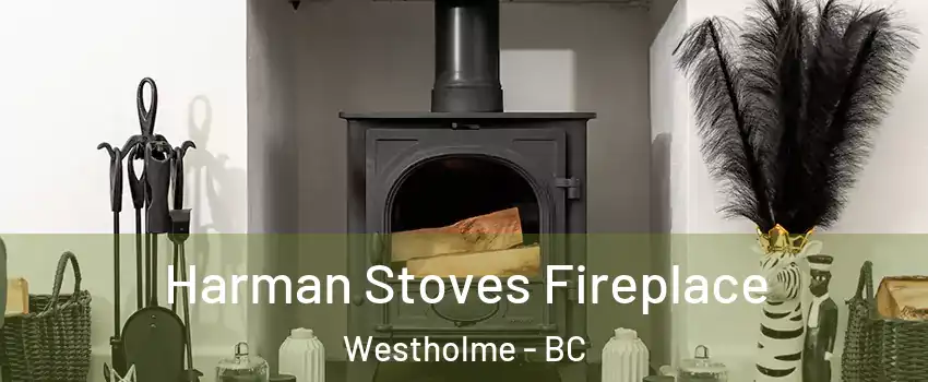  Harman Stoves Fireplace Westholme - BC