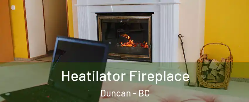  Heatilator Fireplace Duncan - BC