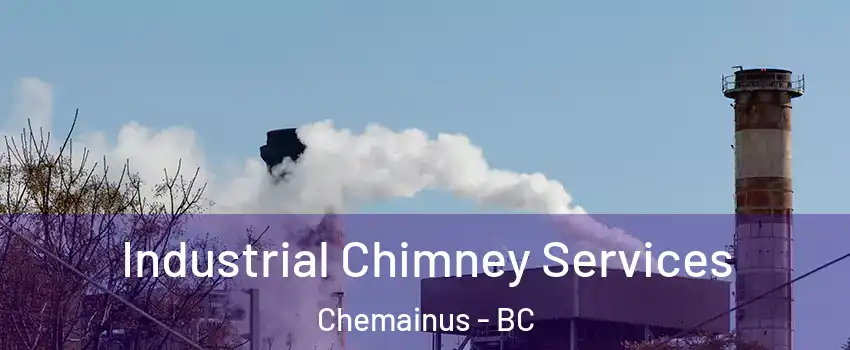  Industrial Chimney Services Chemainus - BC