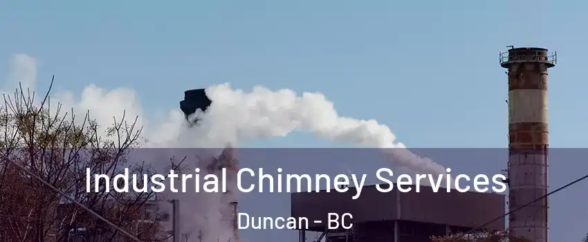  Industrial Chimney Services Duncan - BC