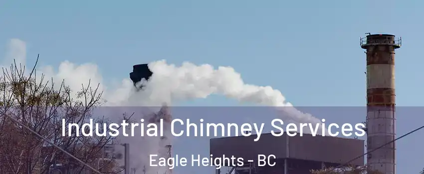  Industrial Chimney Services Eagle Heights - BC