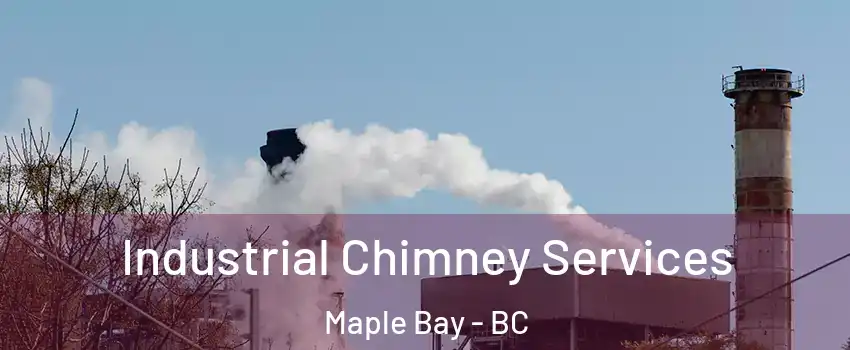  Industrial Chimney Services Maple Bay - BC