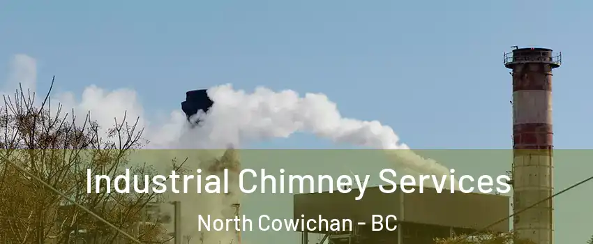  Industrial Chimney Services North Cowichan - BC