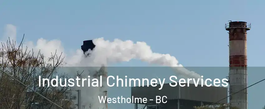  Industrial Chimney Services Westholme - BC