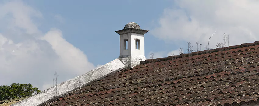 Wind-Resistant Chimney Caps Installation and Repair Services in Maple Bay, British Columbia