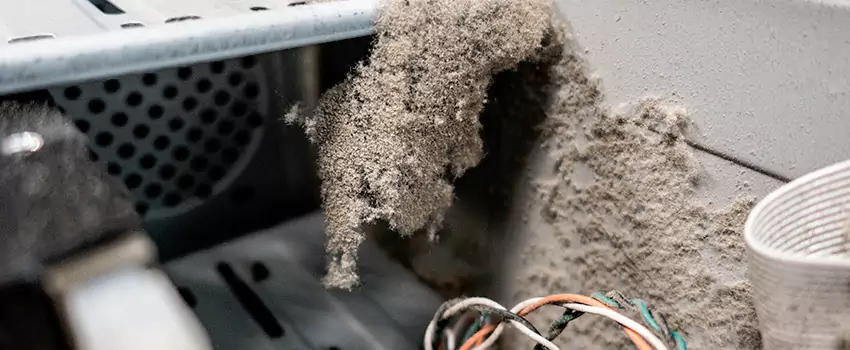 Clogged Dryer Vent Lint Cleaning in Maple Bay, British Columbia