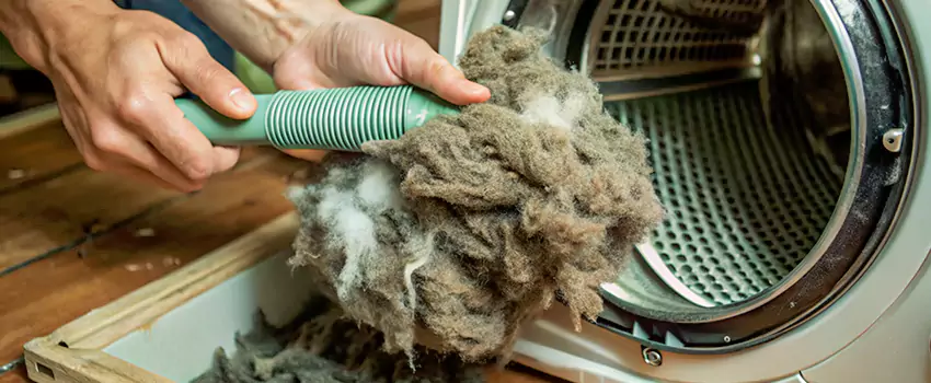 Best Dryer Lint Removal Company in Maple Bay, British Columbia
