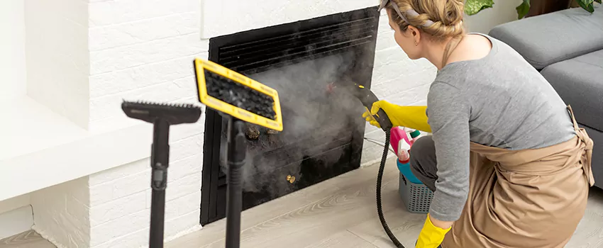 Fireplace Doors Cleaning in Maple Bay, British Columbia