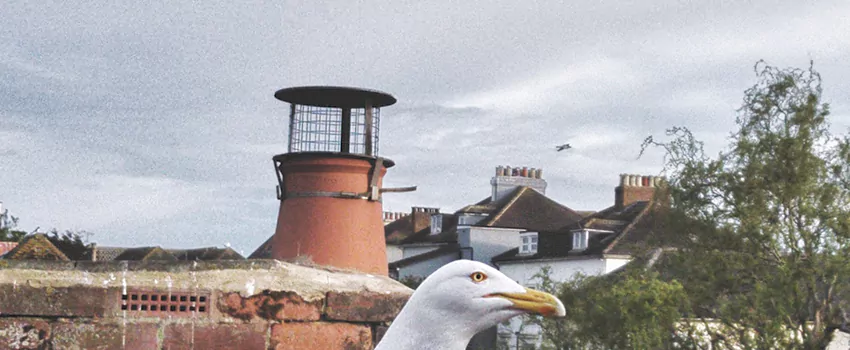 Chimney Cap Bird Guard Repair in Maple Bay, British Columbia