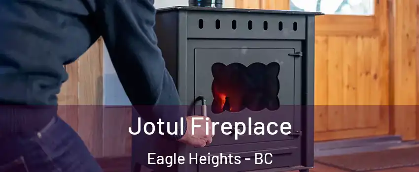  Jotul Fireplace Eagle Heights - BC
