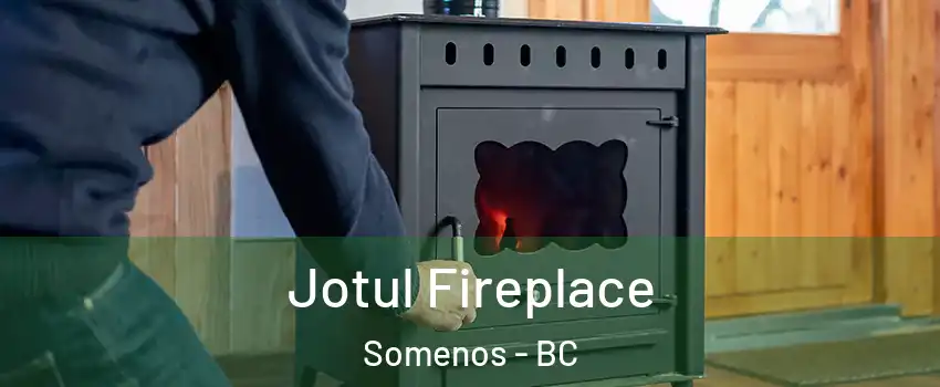  Jotul Fireplace Somenos - BC