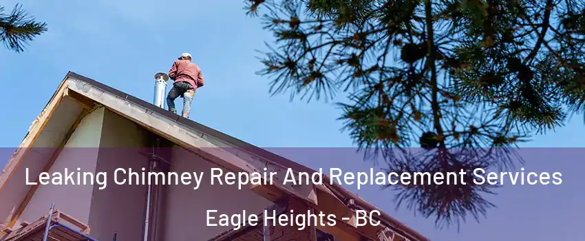  Leaking Chimney Repair And Replacement Services Eagle Heights - BC