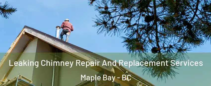  Leaking Chimney Repair And Replacement Services Maple Bay - BC