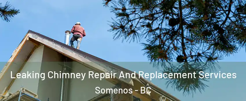  Leaking Chimney Repair And Replacement Services Somenos - BC