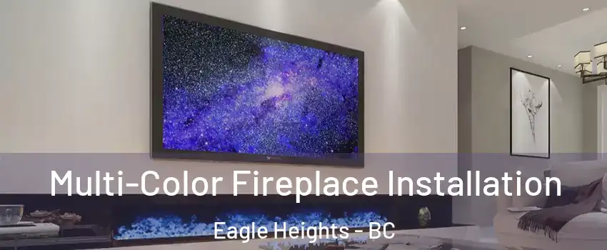  Multi-Color Fireplace Installation Eagle Heights - BC