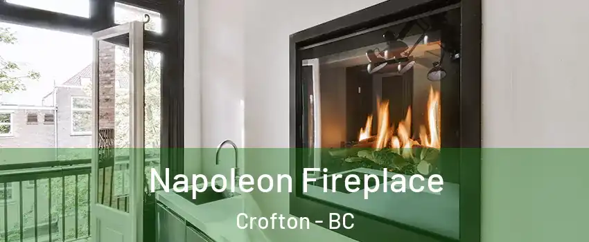  Napoleon Fireplace Crofton - BC