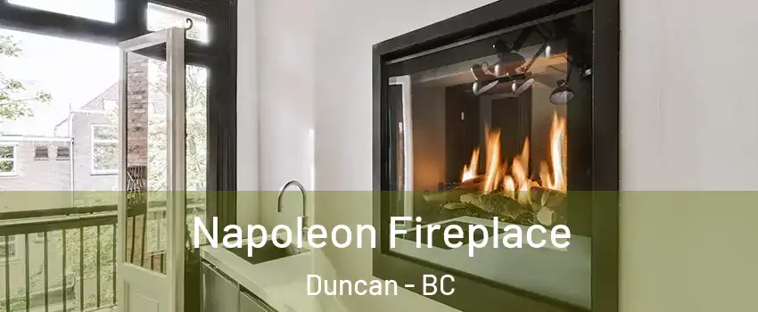  Napoleon Fireplace Duncan - BC