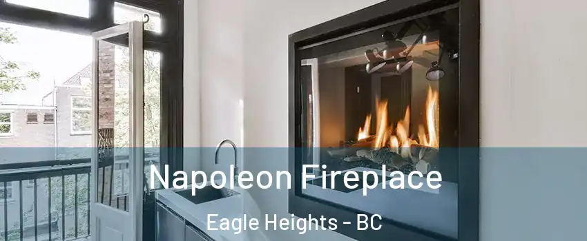  Napoleon Fireplace Eagle Heights - BC