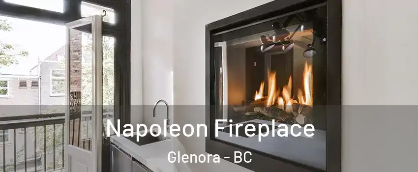  Napoleon Fireplace Glenora - BC