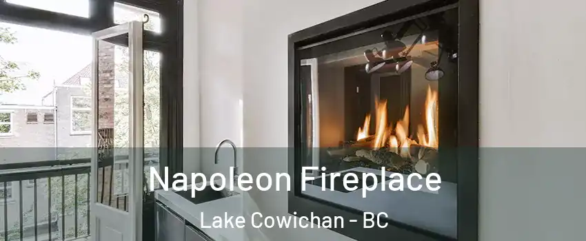  Napoleon Fireplace Lake Cowichan - BC