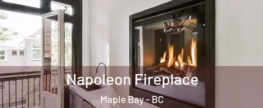  Napoleon Fireplace Maple Bay - BC